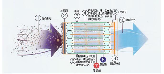 未標題-5.jpg